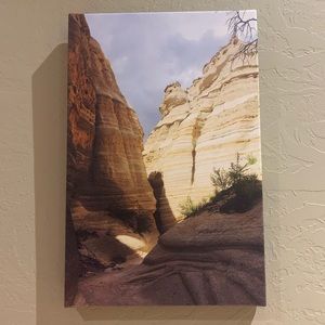 Wall art (canvas)